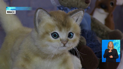 Жительница Миасса продаёт игрушки в Москву