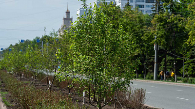 ﻿Комитет дорожного хозяйства Челябинска уличили в сговоре с 10 предпринимателями