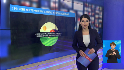 В регионе могут расширить статус многодетных семей