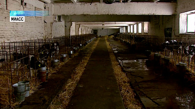 В регионе расширяют молочное производство