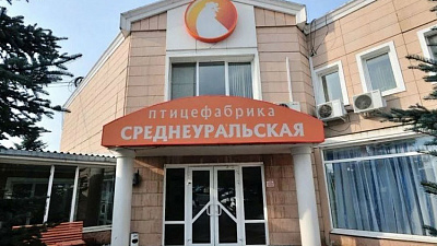 Правительство Свердловской области отказалось поддерживать птицефабрику Косилова в Среднеуральске