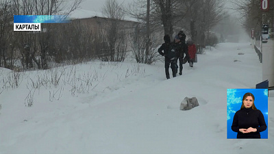 Юг области замели метели