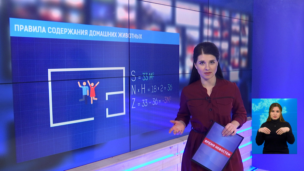 Правила содержания домашних животных