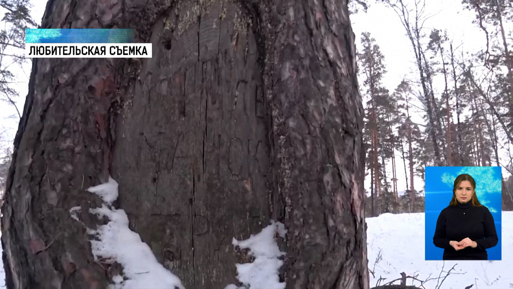 Надпись из прошлого обнаружили в лесу Миасса