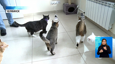 Что модно дарить на праздники?