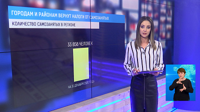 Городам и районам вернут налоги от самозанятых