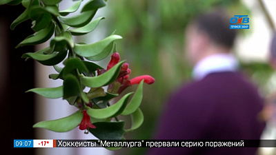 Руки садовода — Сроки высадки рассады