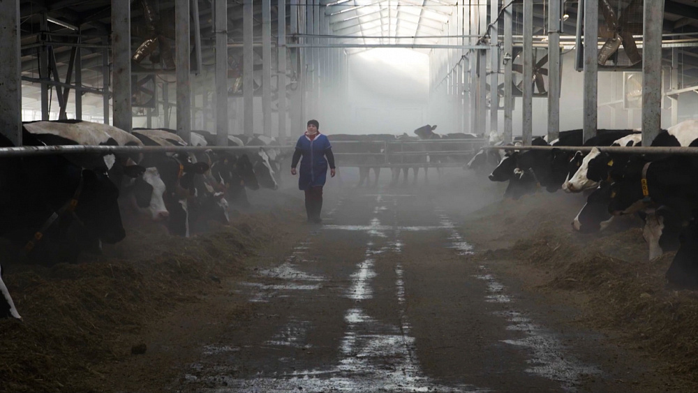 «ЭкоЛогика». Как купить натуральный «зеленый» продукт и не быть обманутым?