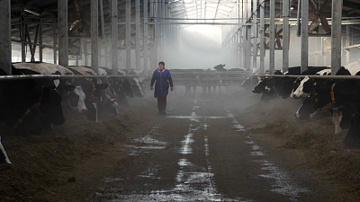 «ЭкоЛогика». Как купить натуральный «зеленый» продукт и не быть обманутым?