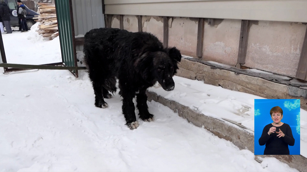 Мишель нашли новый дом