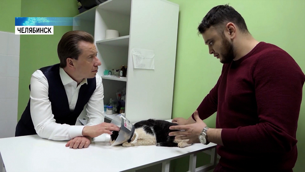 В ветклинику подкинули кота в мешке