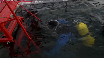 Водолазы сдали экзамен в ледяной воде