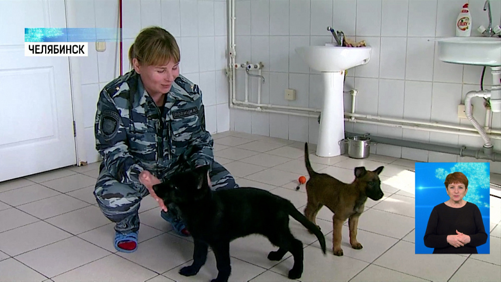 В кинологическом центре МВД пополнение