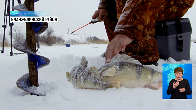 В Еманжелинском районе прошёл турнир рыболовов
