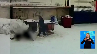 Охранник стравливает собак