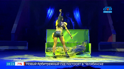 Сюжет «Что происходит в цирке»