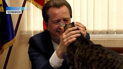 Коту нашли врачей после обращения к депутату