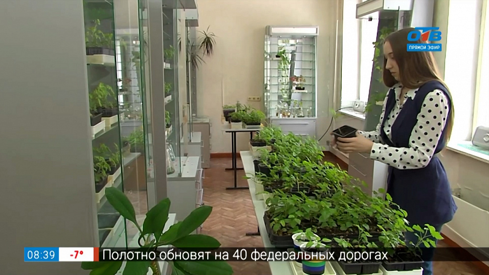 Пусть меня научат — Специальность «садовник»