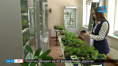 Пусть меня научат — Специальность «садовник»