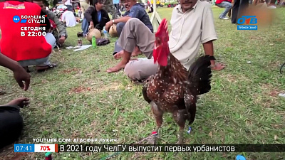 Добавь обороты — «Курам на смех»