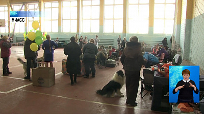В Миассе прошла выставка собак