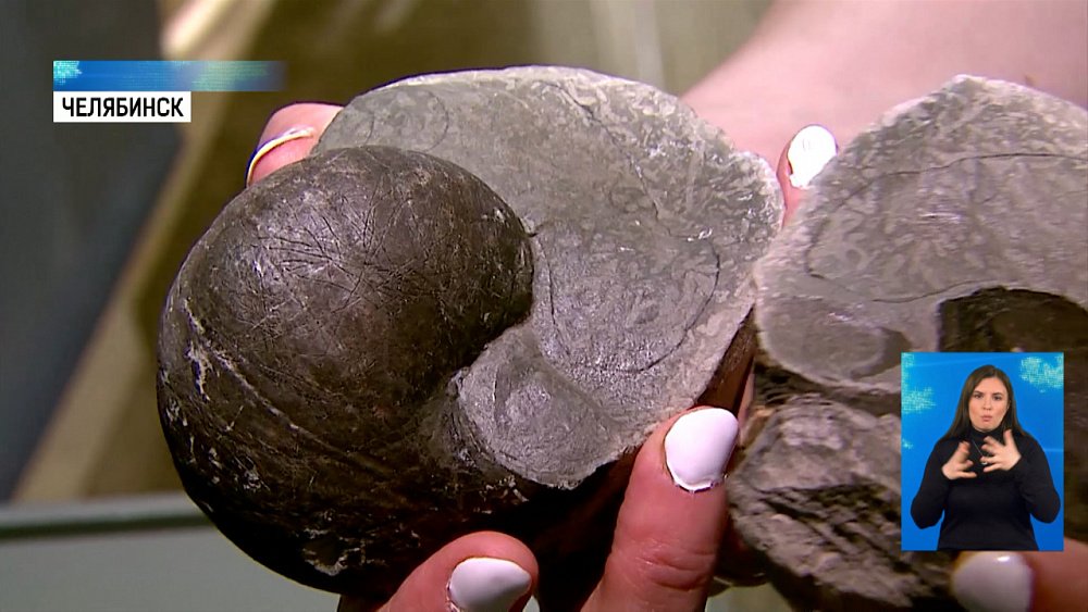 Южноуралец нашел камень юрского периода