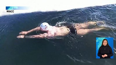 Моржи устроили суточный заплыв