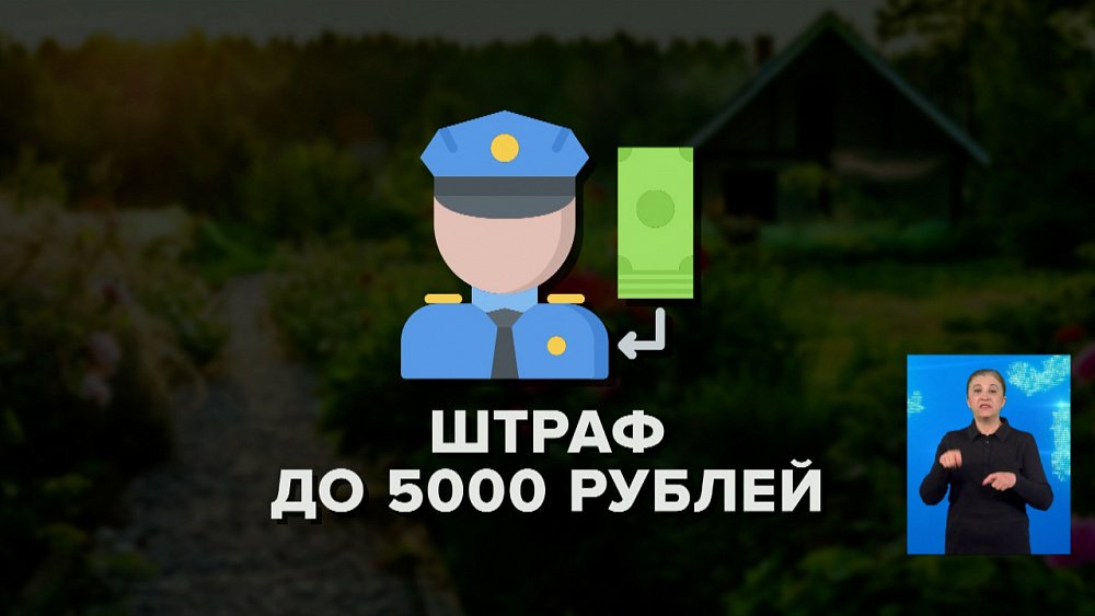В этом году строже будут наказывать и дачников за костры на участках