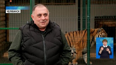 Нужна ли обязательная регистрация питомцев?