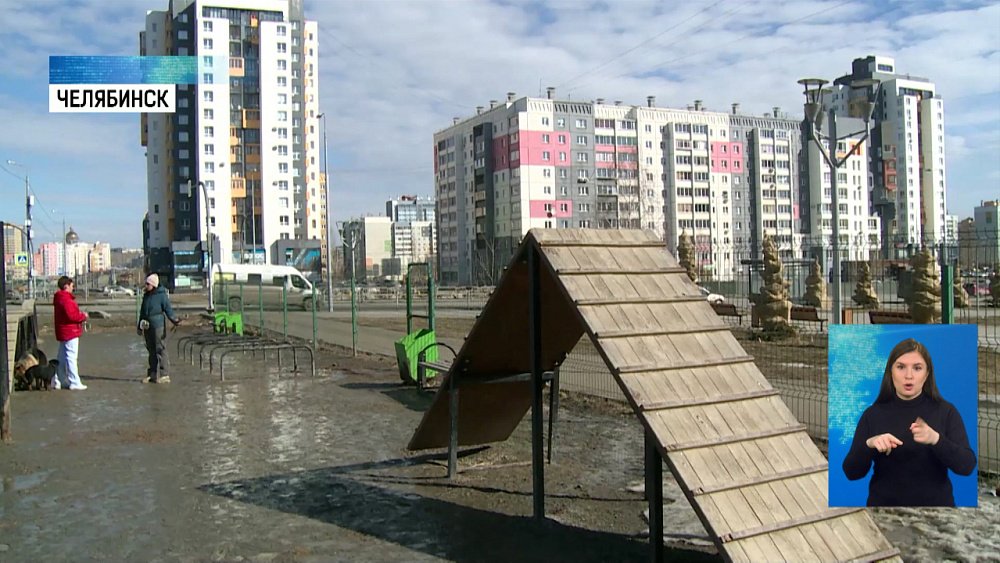 Площадки для выгула построят в каждом районе