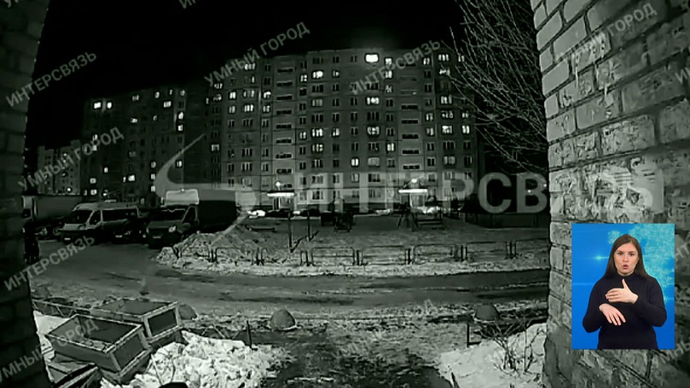 На челябинку возбудили дело за живодёрство