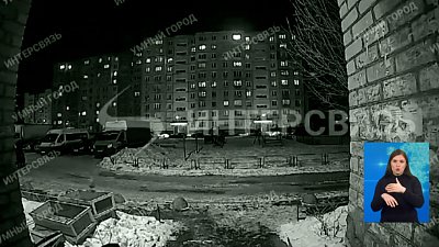 На челябинку возбудили дело за живодёрство