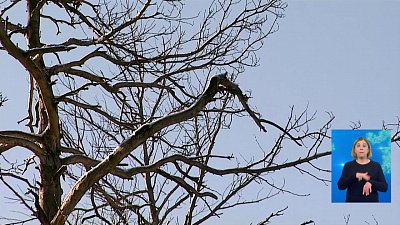 После смерти младенца возбуждено дело