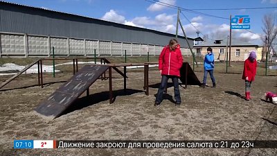 Сюжет «Площадки для выгула собак»