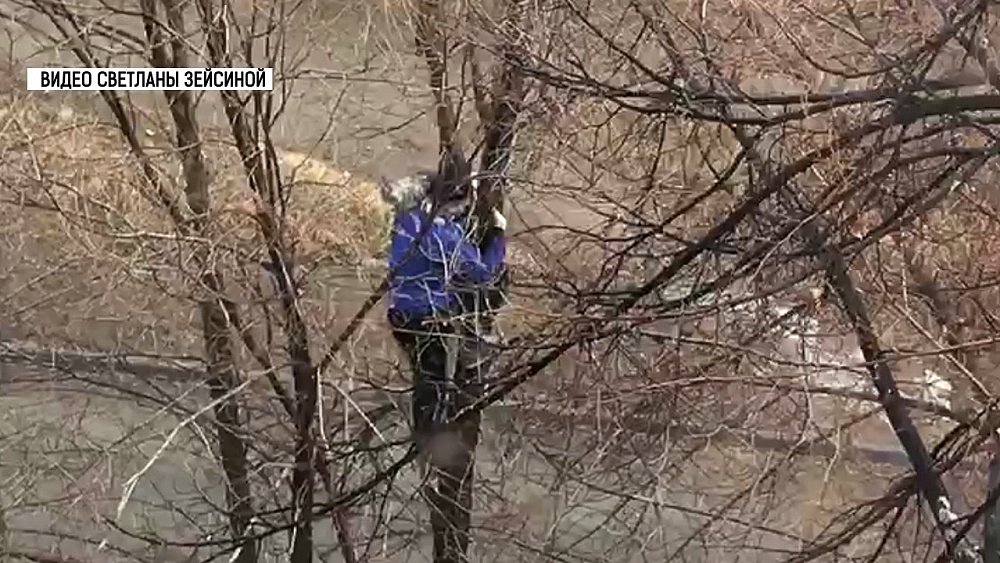 Прохожий спас кота