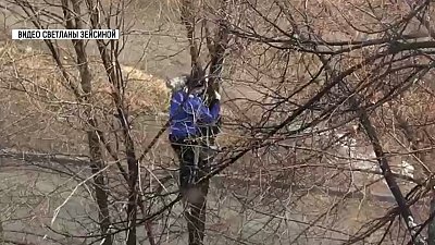 Прохожий спас кота