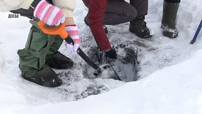 Подведены итоги мониторинга Тургояка