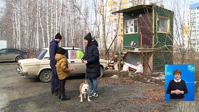 Семье разбили машину