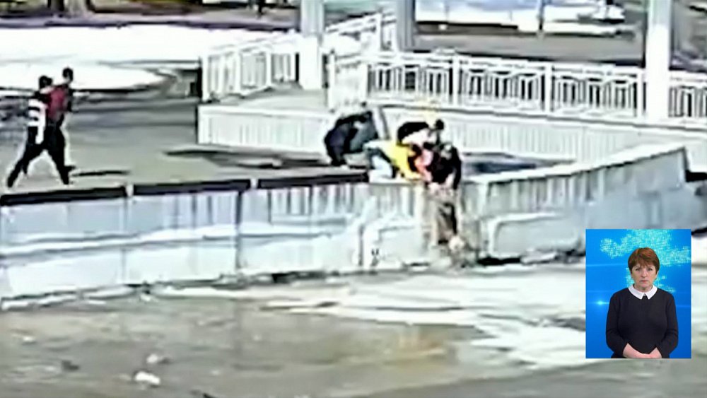 Школьники спасли собаку из реки