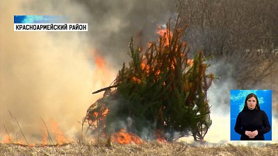 МЧС проводит учения по лесным пожарам