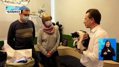 Челябинский кот в мешке нашел хозяев