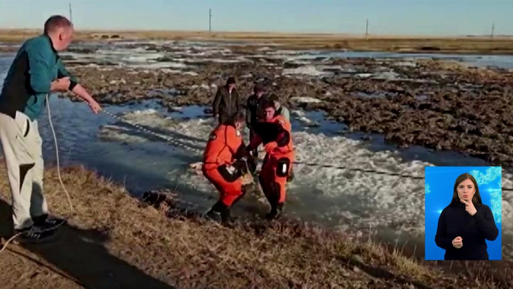 Сотрудники МЧС спасли телёнка