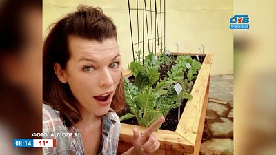 Пройдемся по звездам — кто из знаменитостей любит садовые работы