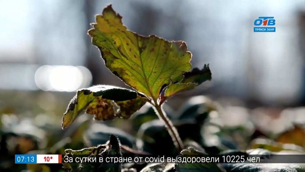 Сюжет «Первые работы в весеннем саду»