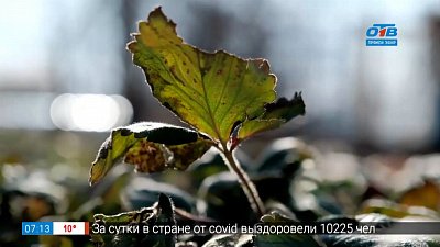 Сюжет «Первые работы в весеннем саду»