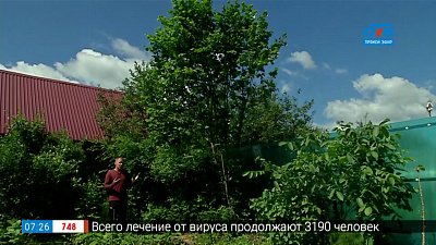 Сюжет «Редкие культуры, которые растут на Южном Урале»